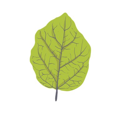 ağaç, vektör çizim yaprak yeşil