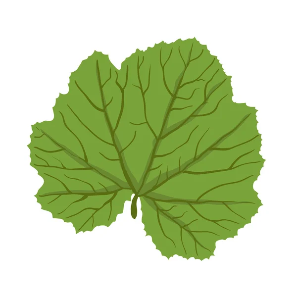 Hoja verde de planta, ilustración vectorial — Vector de stock