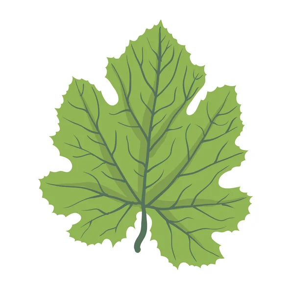 Зеленый лист дерева, векторная иллюстрация — стоковый вектор