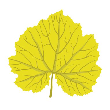 ağacının, vektör çizim sonbahar yaprak
