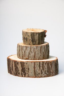 Beyaz arka plan ağaç gövdesinde kesitleri