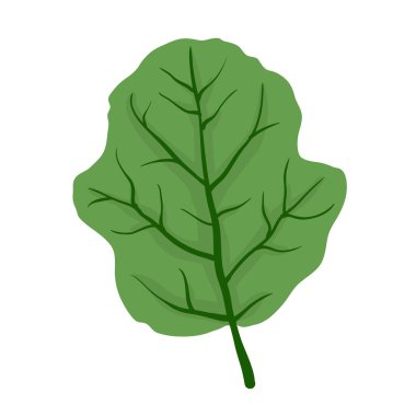 ağaç, vektör çizim yaprak yeşil