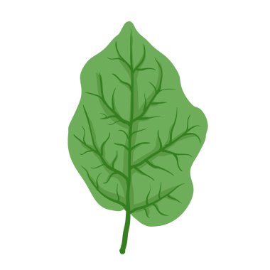 ağaç, vektör çizim yaprak yeşil