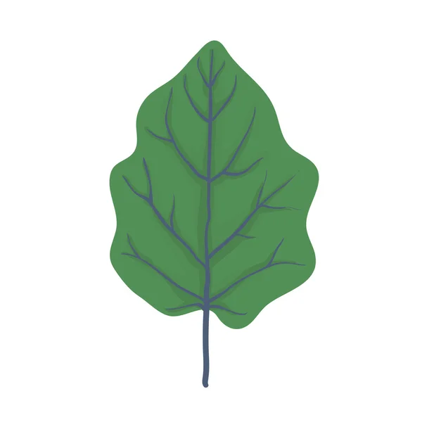 Green leaf of tree, vector illustration — Stock Vector