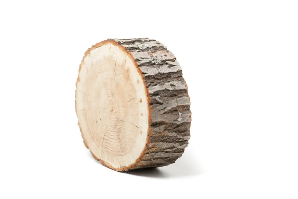 Beyaz arkaplanda ağaç gövdesinin kesiti — Stok fotoğraf