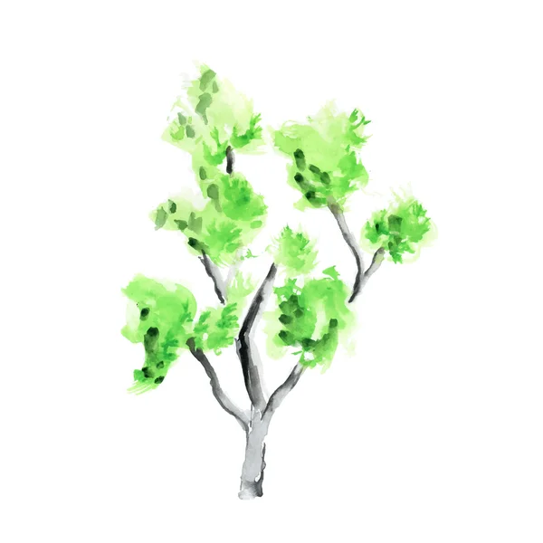 Aquarelboom op witte achtergrond — Stockvector
