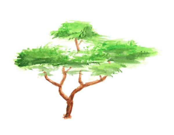 白い背景の水彩画の木 — ストックベクタ