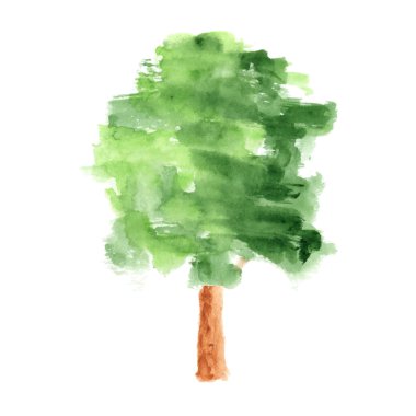 Beyaz arkaplanda suluboya ağacı