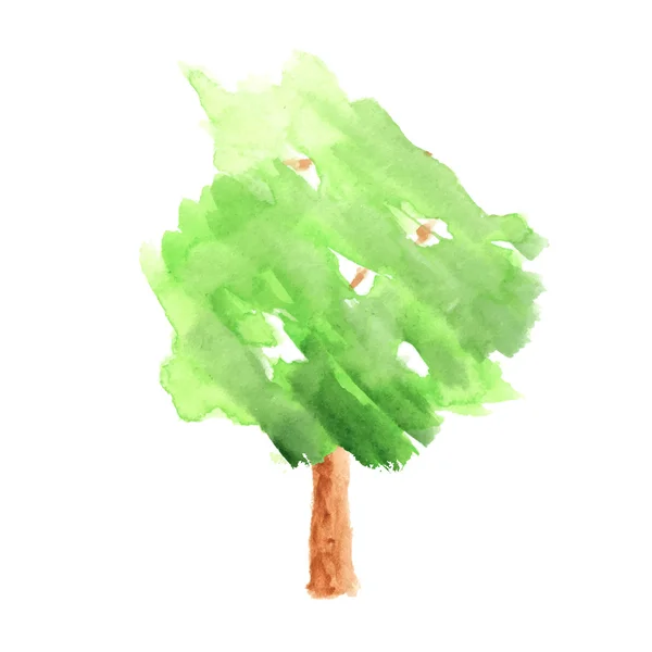 Árbol de acuarela sobre fondo blanco — Vector de stock