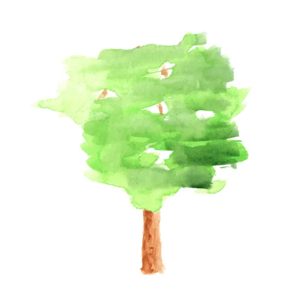 Akwarela drzewo na białym tle — Wektor stockowy