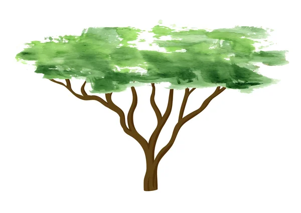 Arbre aquarelle sur fond blanc — Image vectorielle