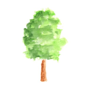 Beyaz arkaplanda suluboya ağacı