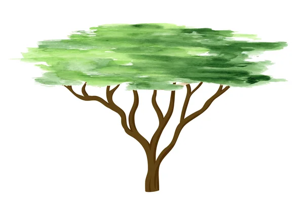 Aquarell Baum auf weißem Hintergrund — Stockvektor