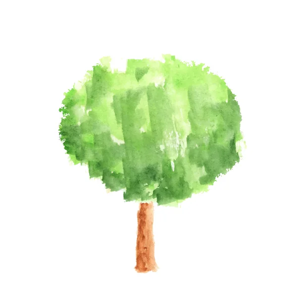 白色背景的水彩树 — 图库矢量图片