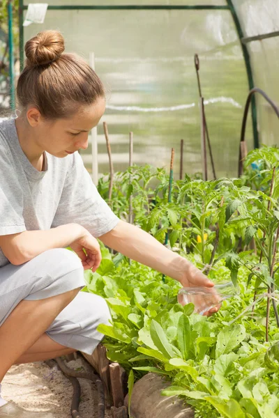 Woman fertilizes plants from a glass bulb — Stock Photo, Image