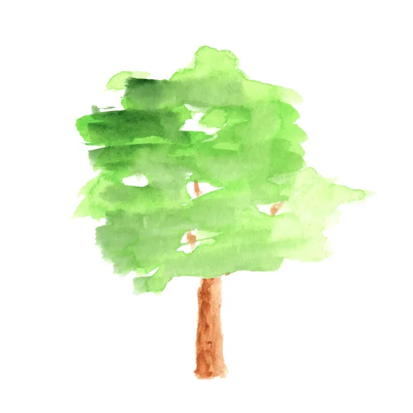 Arbre aquarelle sur fond blanc — Photo