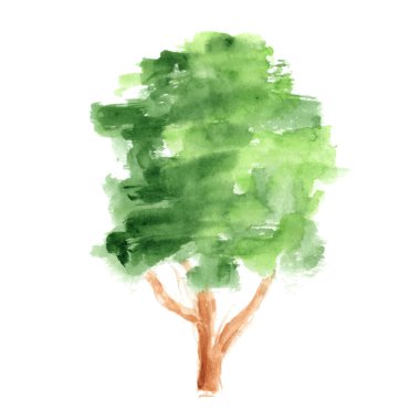 Beyaz arkaplanda suluboya ağacı