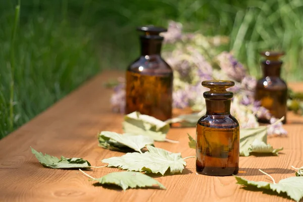 Aceite esencial en botella pequeña y hierbas medicinales de las flores — Foto de Stock