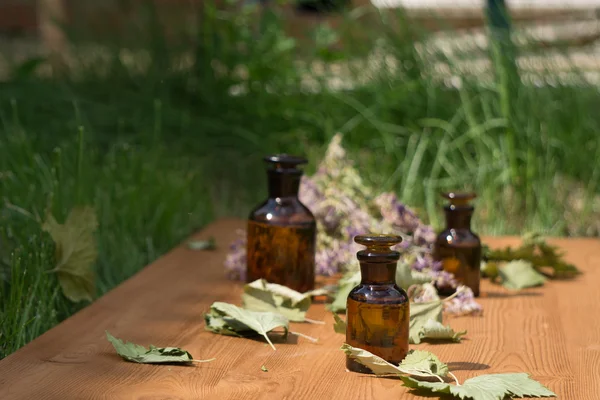 Æterisk olie i lille flaske og medicinske blomster urter - Stock-foto