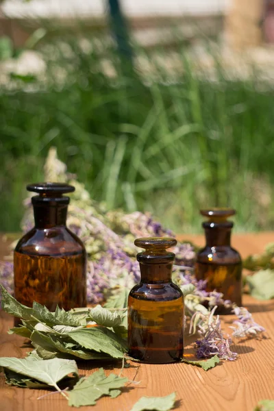 Aceite esencial en botella pequeña y hierbas medicinales de las flores — Foto de Stock