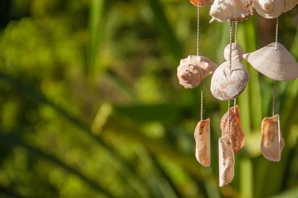 Decoration made of sea shells on the thread — Stock Photo, Image