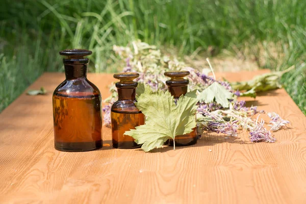 Aceite esencial en botella pequeña y hierbas medicinales de las flores —  Fotos de Stock