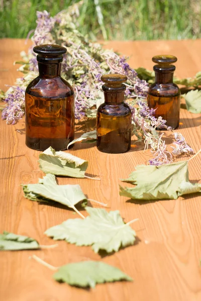 Olejek w małą butelkę i medycyna kwiaty zioła — Zdjęcie stockowe