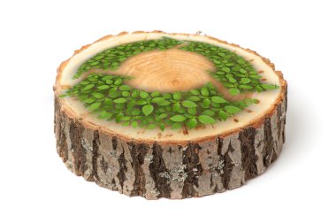 Cross section of tree trunk with recycle symbol, on white background clipart