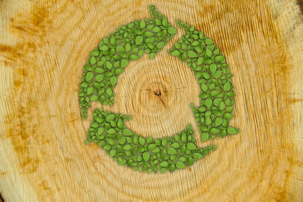 Querschnitt durch Baumstamm mit grünem Pflanzenrecycling-Symbol — Stockfoto