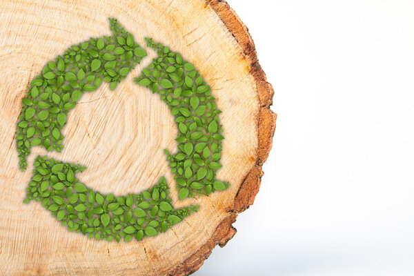 Cross section of tree trunk with recycle symbol, on white background