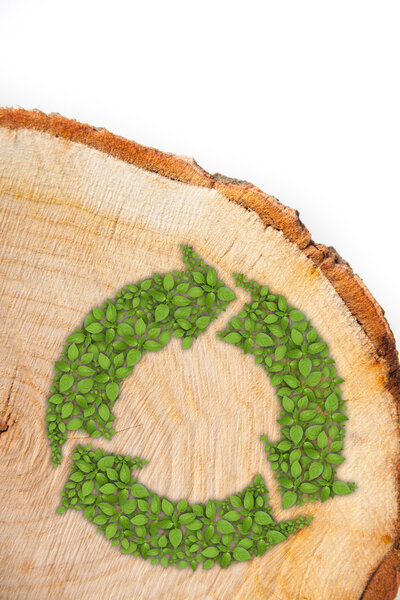 Cross section of tree trunk with recycle symbol, on white background