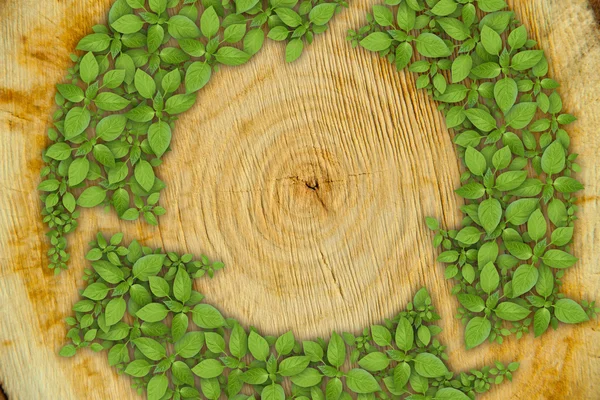 Cross section of tree trunk with green plant recycle symbol — Stock Photo, Image