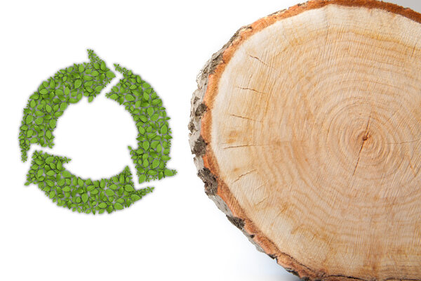 Cross section of tree trunk with recycle symbol, on white background