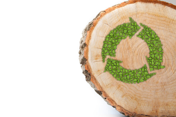 Cross section of tree trunk with recycle symbol, on white background