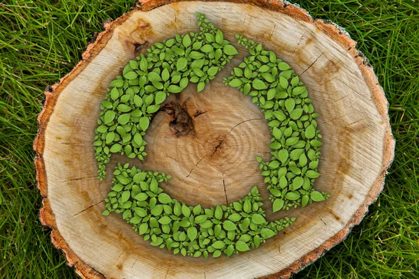 Tree stump on the grass with recycle symbol, top view — Stock Photo, Image