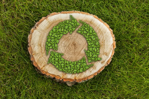 Pnia drzewa na trawie z recykling symbol, widok z góry — Zdjęcie stockowe