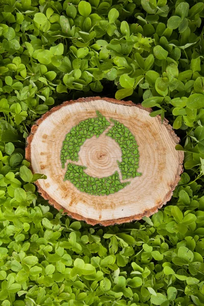 Tree stump on the grass with recycle symbol, top view — Stock Photo, Image