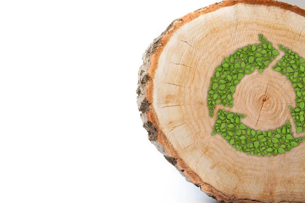 Przekrój pnia drzewa z symbolem recyklingu, na białym tle — Zdjęcie stockowe