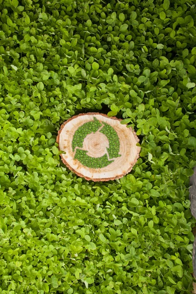 Tronco d'albero sull'erba con simbolo del riciclo, vista dall'alto — Foto Stock
