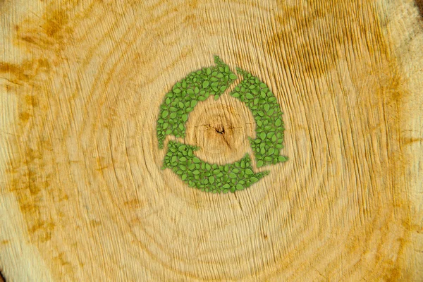 Cross section of tree trunk with green plant recycle symbol — Stock Photo, Image