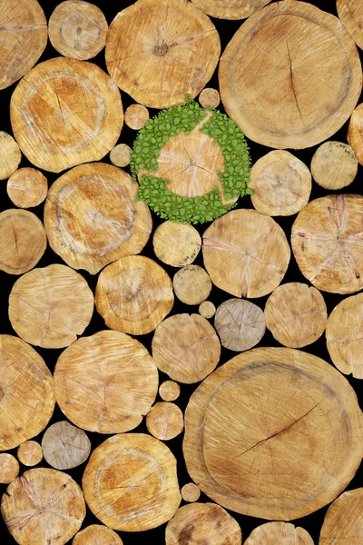 Gestapelte Baumstämme Hintergrund mit grünen Pflanzen Recycling-Symbol — Stockfoto