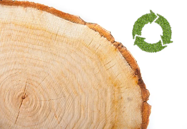 Cross section of tree trunk with recycle symbol, on white background — Stock Photo, Image