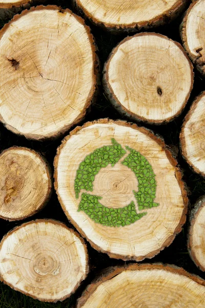 Ułożone dzienników tło z zielona roślina symbol recyklingu — Zdjęcie stockowe
