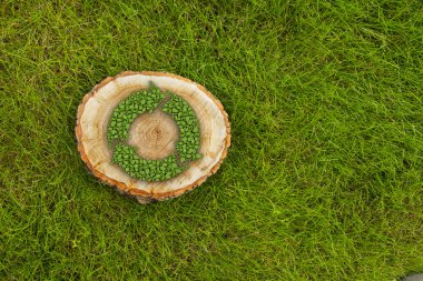 ağaç kütüğü geri dönüşüm sembolü, üstten görünüm ile çimenlerin üzerinde