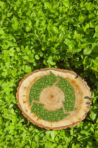 Boomstronk op het gras met recycle symbool, bovenaanzicht — Stockfoto