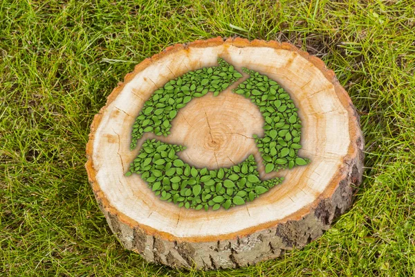Pařez v trávě symbolem recyklace, pohled shora — Stock fotografie