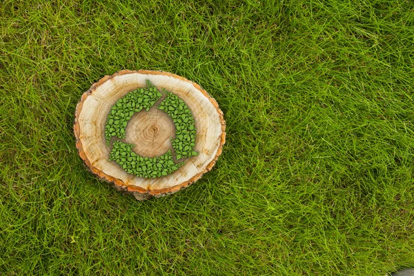 Tree stump on the grass with recycle symbol, top view — Stock Photo, Image