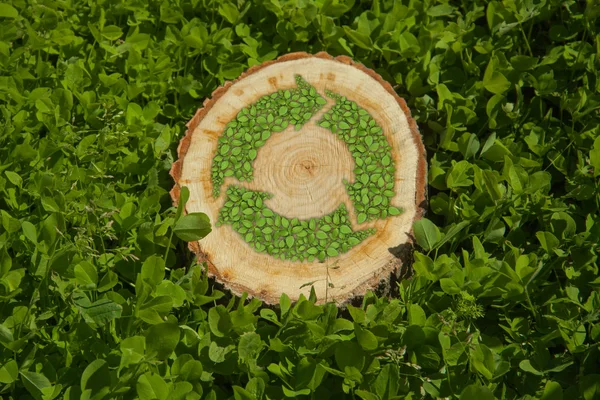 リサイクル マーク、上から見ると芝生の上の木の切り株 — ストック写真