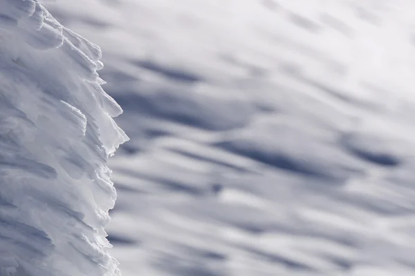 Snow texture background — Stock Photo, Image