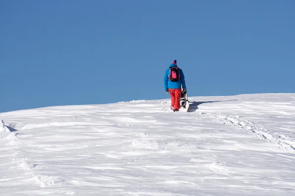 スノーボーダーが雪に覆われた山を登る — ストック写真